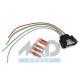PIECES POUR SYSTEMES DE GESTION MOTEUR